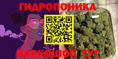 2c-b Кимры