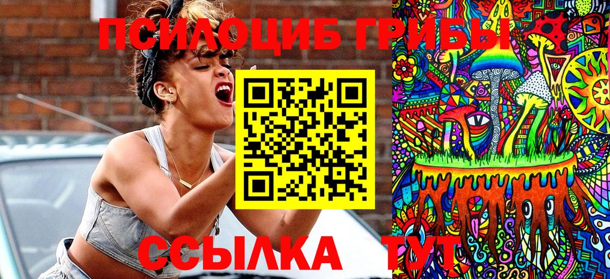Псилоцибиновые грибы Psilocybe Кудрово