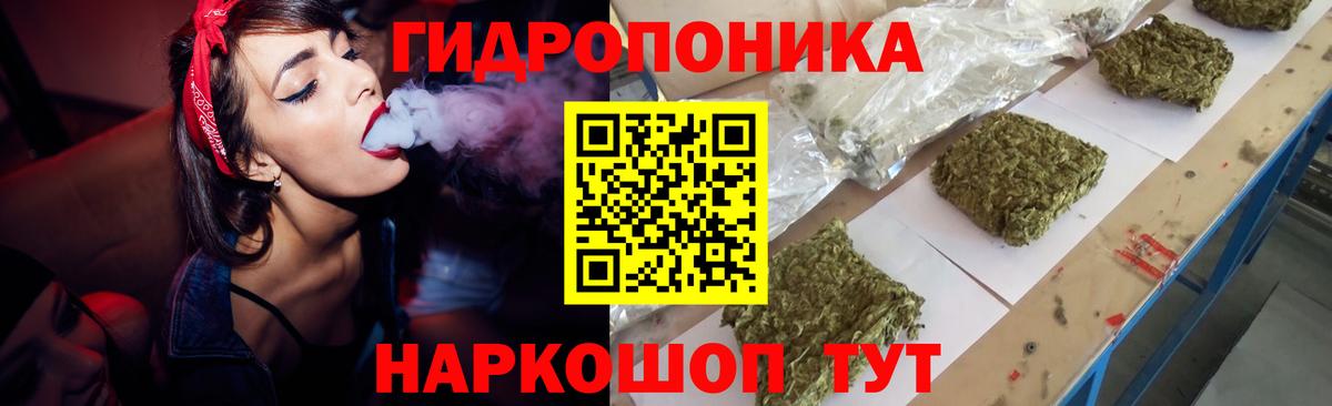 Марихуана VHQ  Вход с VPN  Бошки Шишки сатива  Бошки Шишки THC 21%  Кудрово 